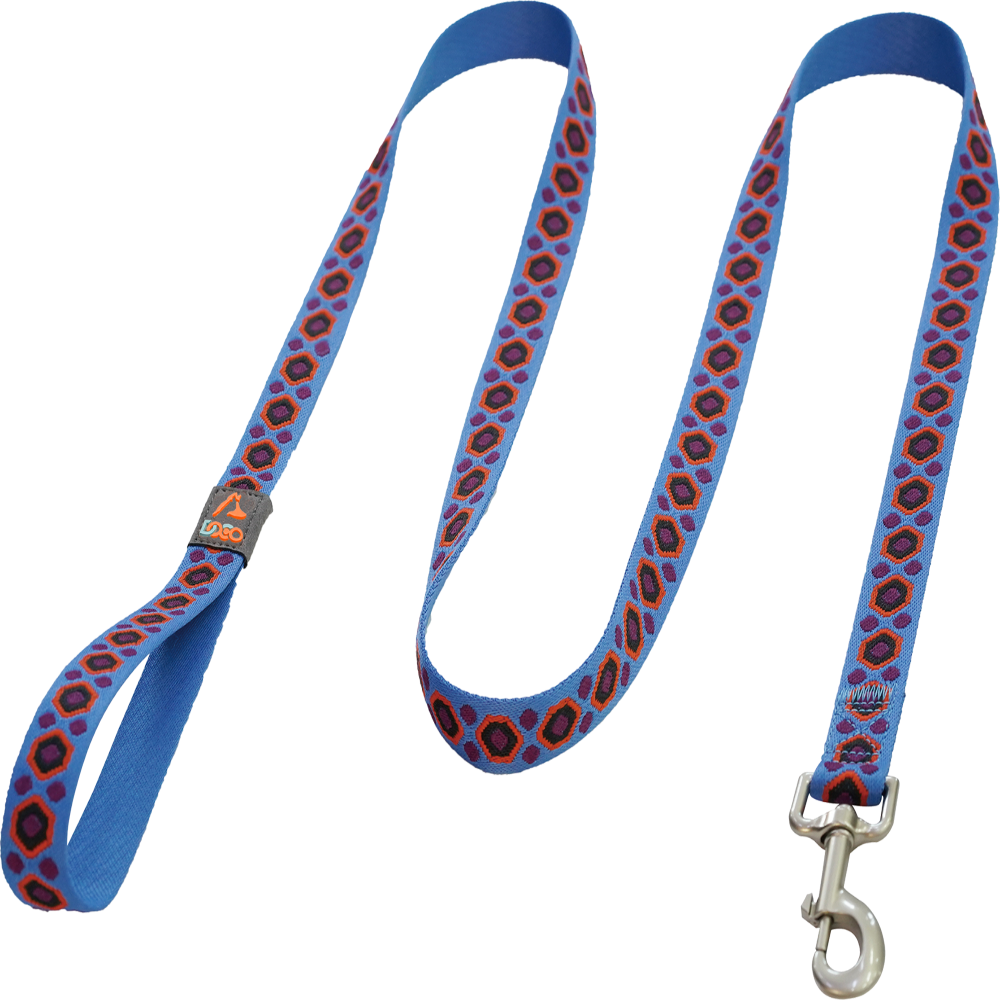 Blue dog leash with red and black pattern on a white background