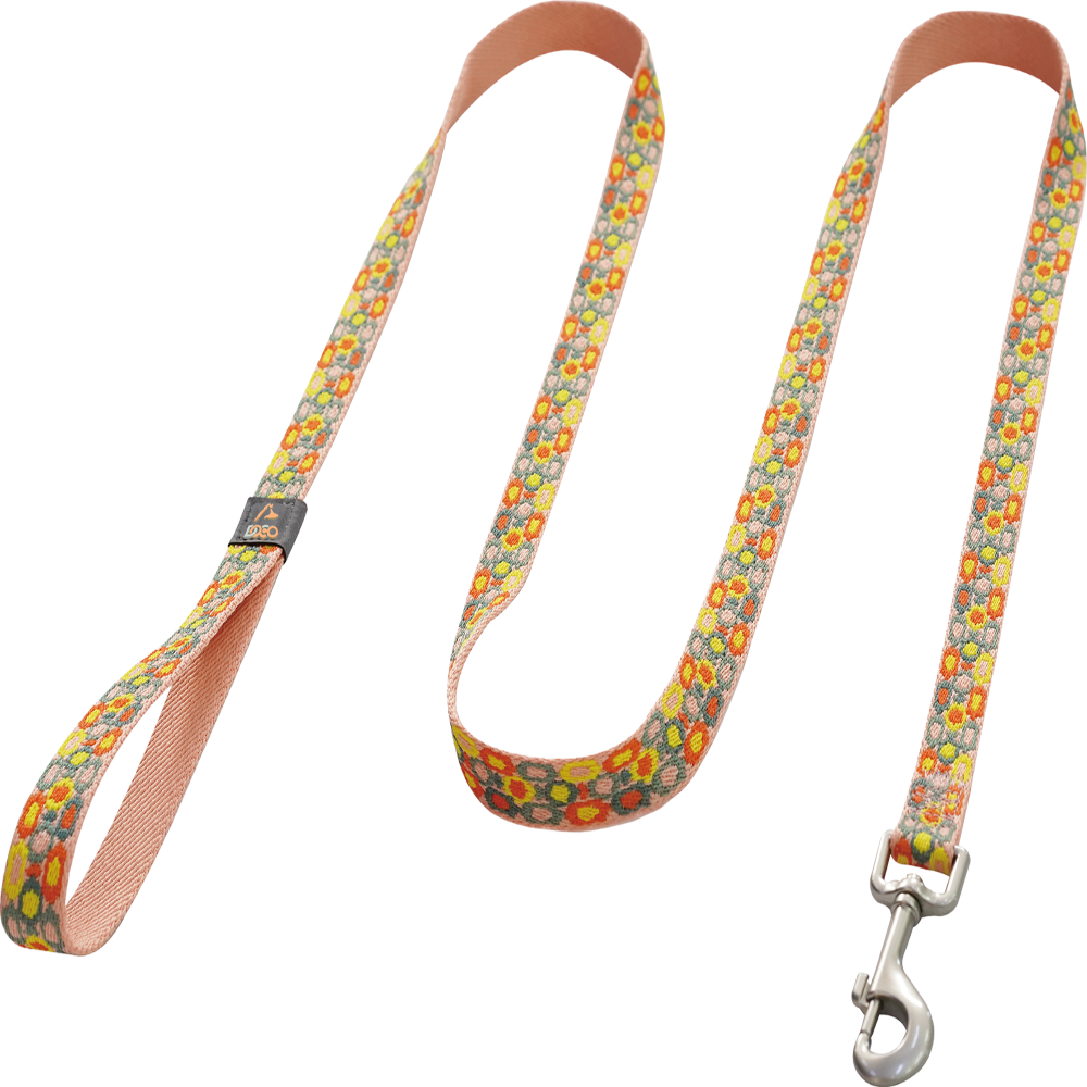 DOCO® Jacquard Stitched Weaved Leash (180CM).