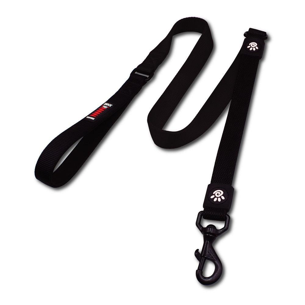 Black dog leash with a clip on a white background