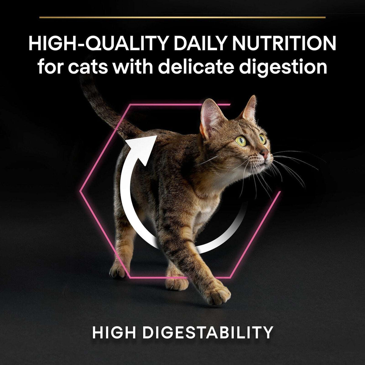 Pro Plan Opti Digest Dry Food with Turkey for Delicate Adult Cats 400 g.