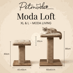 Cat tree with dimensions labeled, featuring 'Petmoda Moda Loft' branding.
