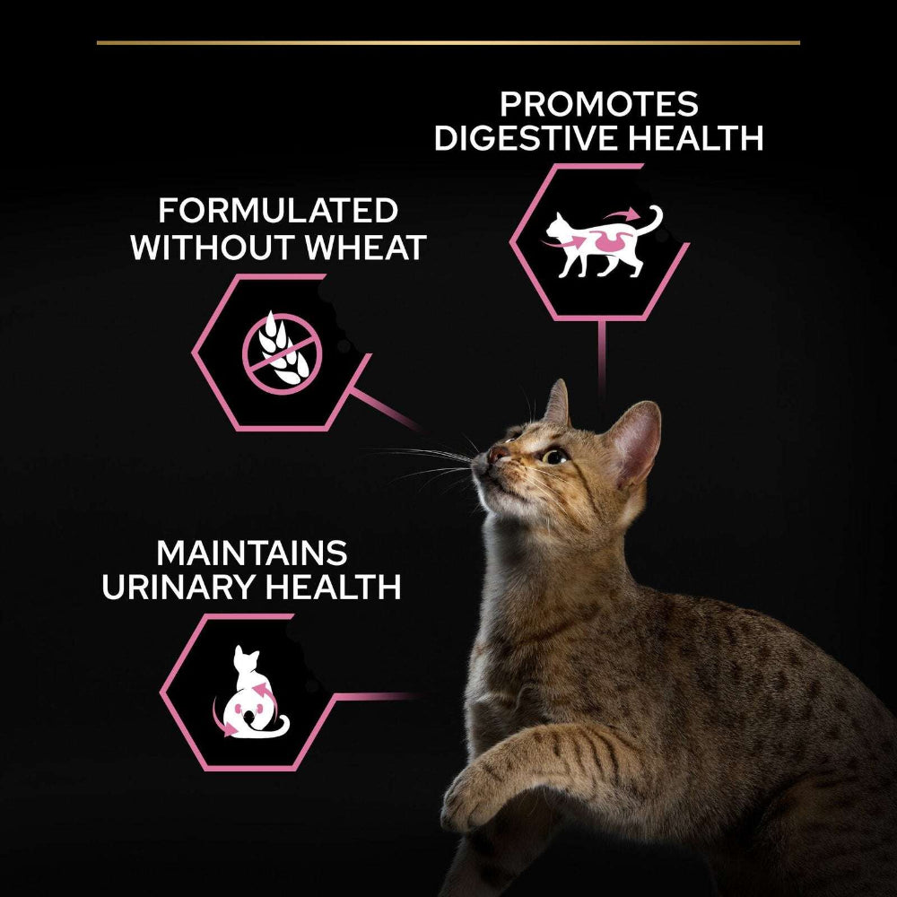 Pro Plan Delicate Digestion Dry Food with Chicken for Sterilized Adult Cats 1.5 kg.