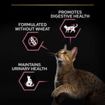 Pro Plan Delicate Digestion Dry Food with Chicken for Sterilized Adult Cats 1.5 kg.