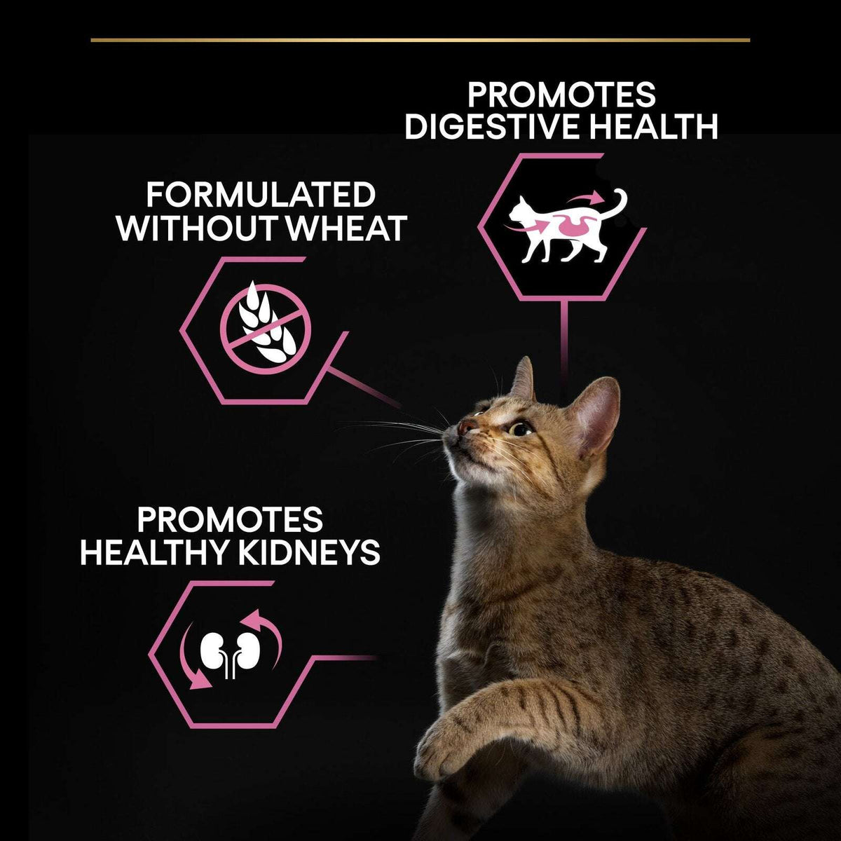 Pro Plan Opti Digest Dry Food with Turkey for Delicate Adult Cats 400 g.