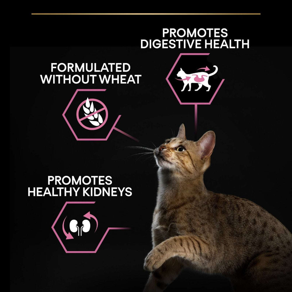 Pro Plan Opti Digest Dry Food with Turkey for Delicate Adult Cats 400 g.