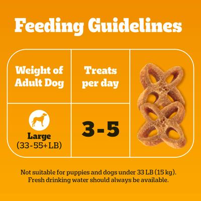 Feeding guidelines for large adult dogs with treats on an orange background