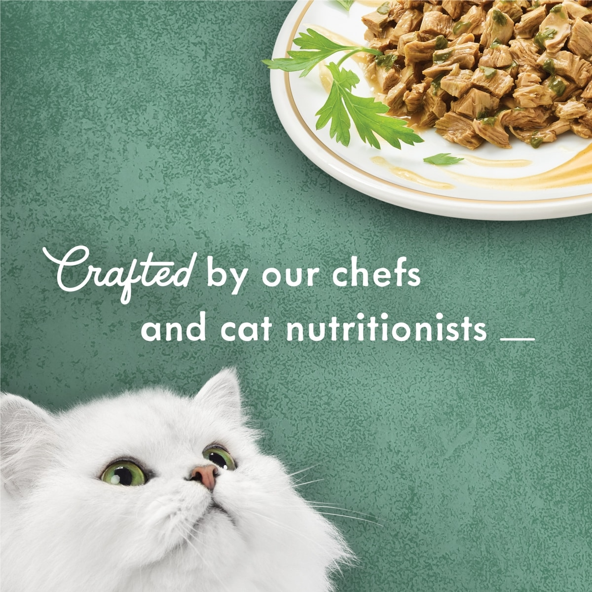 Fancy Feast Medleys White Meat Chicken Florentine with Spinach Cat Wet Food85g