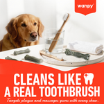 Wanpy Treat For Adult Dog Toothbrush Chews Chicken 100 g