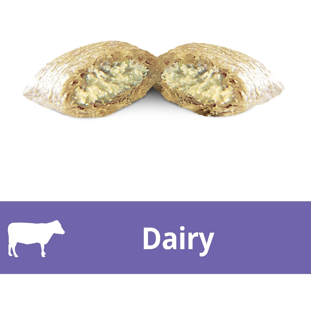 Two pieces of dairy product with a purple bar and 'Dairy' text below on a white background