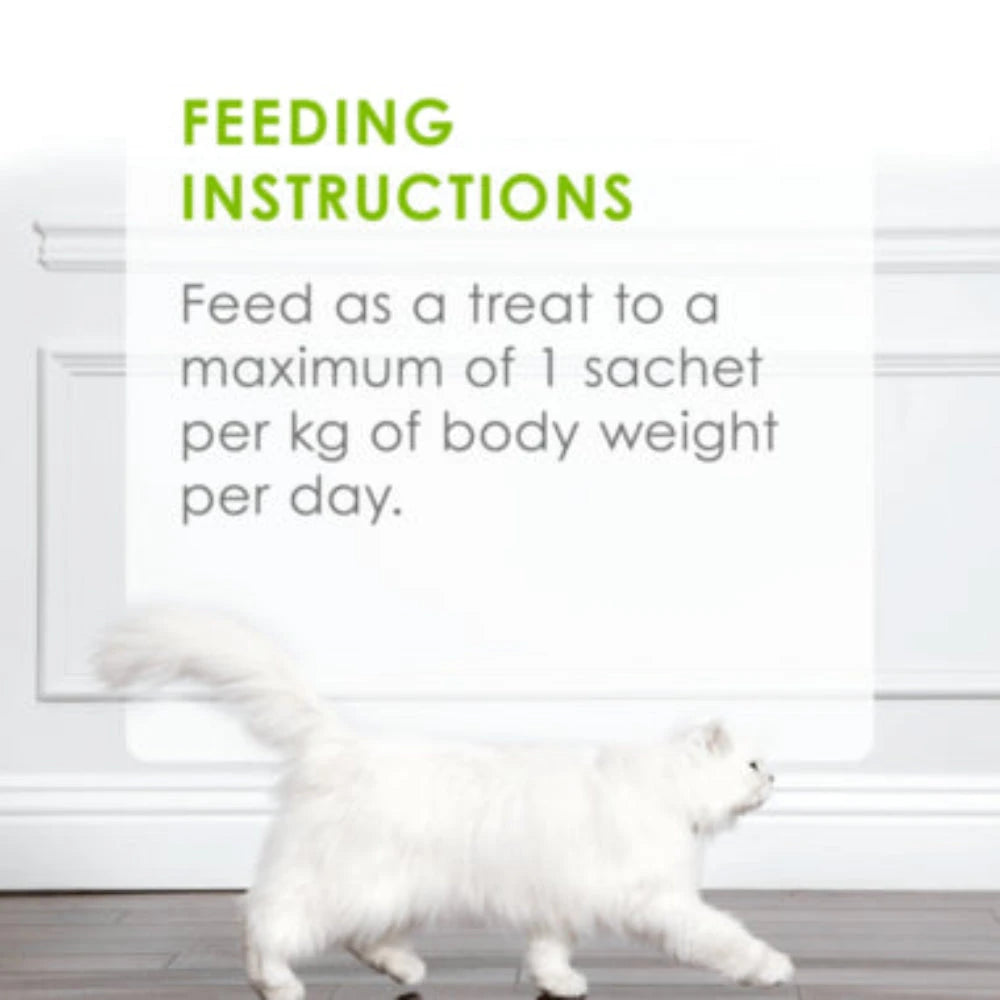 White cat walking on a wooden floor with feeding instructions text overlay.
