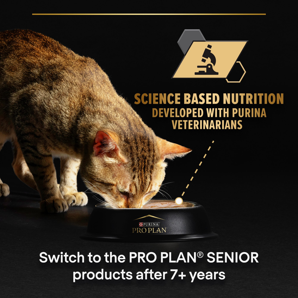 Pro Plan Nutrisavour Wet Food Delicate Digestion with Turkey in Sauce 85g Petfast.shop Pro Plan Cat Food Wet Food petfast.shop Egypt PPR5994S Default Title 125.00