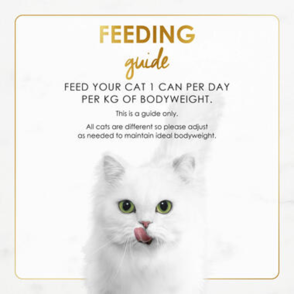 White cat with feeding guide text on a white background