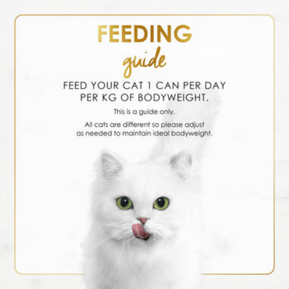 BUY 9 + 1 FERR Fancy Feast Gravy Lovers Beef Feast in Roasted Beef Flavour in Gravy Gourmet Cat Food 85g