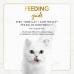 BUY 9 + 1 FERR Fancy Feast Gravy Lovers Beef Feast in Roasted Beef Flavour in Gravy Gourmet Cat Food 85g