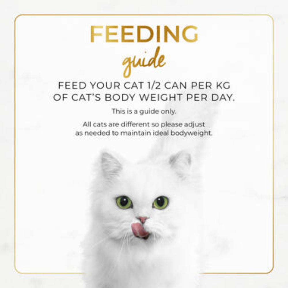White cat with feeding guide text on a light background