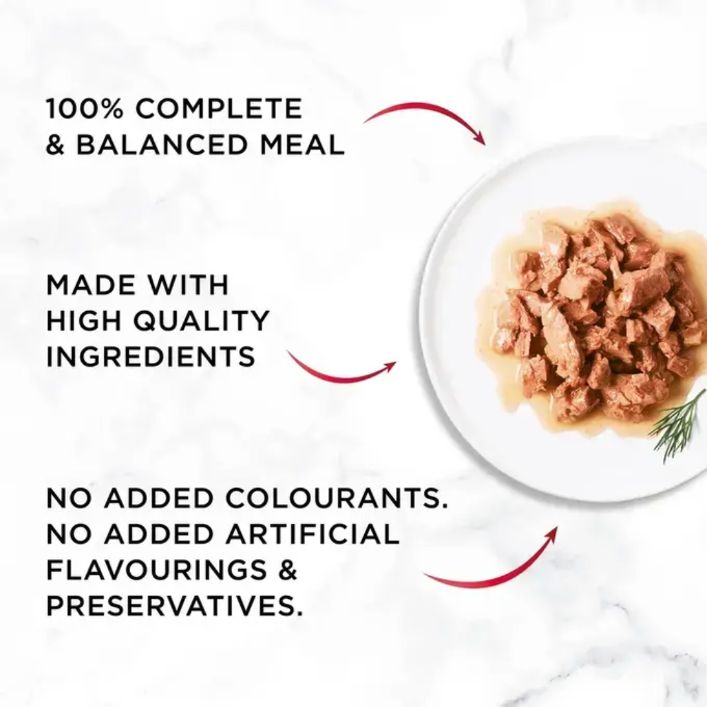Gourmet Cat Wet Food Mon Petit Intense with Duck 50g Petfast.shop Gourmet Cat Exclusive Food Wet Food petfast.shop Egypt PGO6883S Default Title 125.00