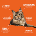 Cat on an orange background with nutritional information text