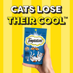 Temptations cat treats package held by a hand with yellow background and text 'Cats Lose Their Cool'.