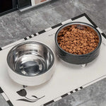 Two pet bowls, one with water and the other with kibble, on a mat.