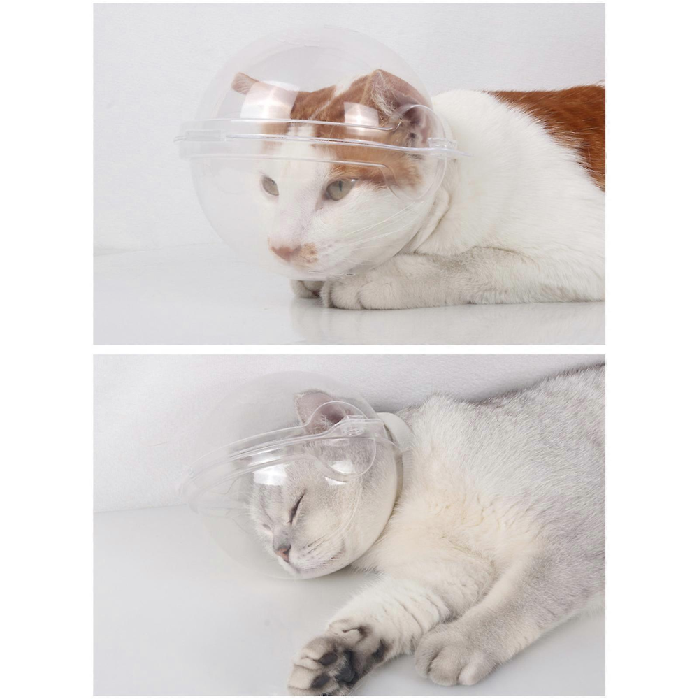 Two images of a cat wearing a clear plastic cone on a white background