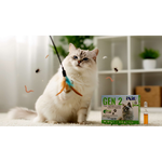 Cat playing with a toy on a carpeted floor with a box of ixoderm cat flea and tick treatment in the background.
