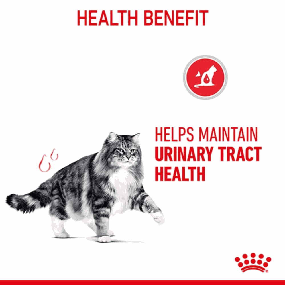 Cat on a white background with text about health benefits of the product