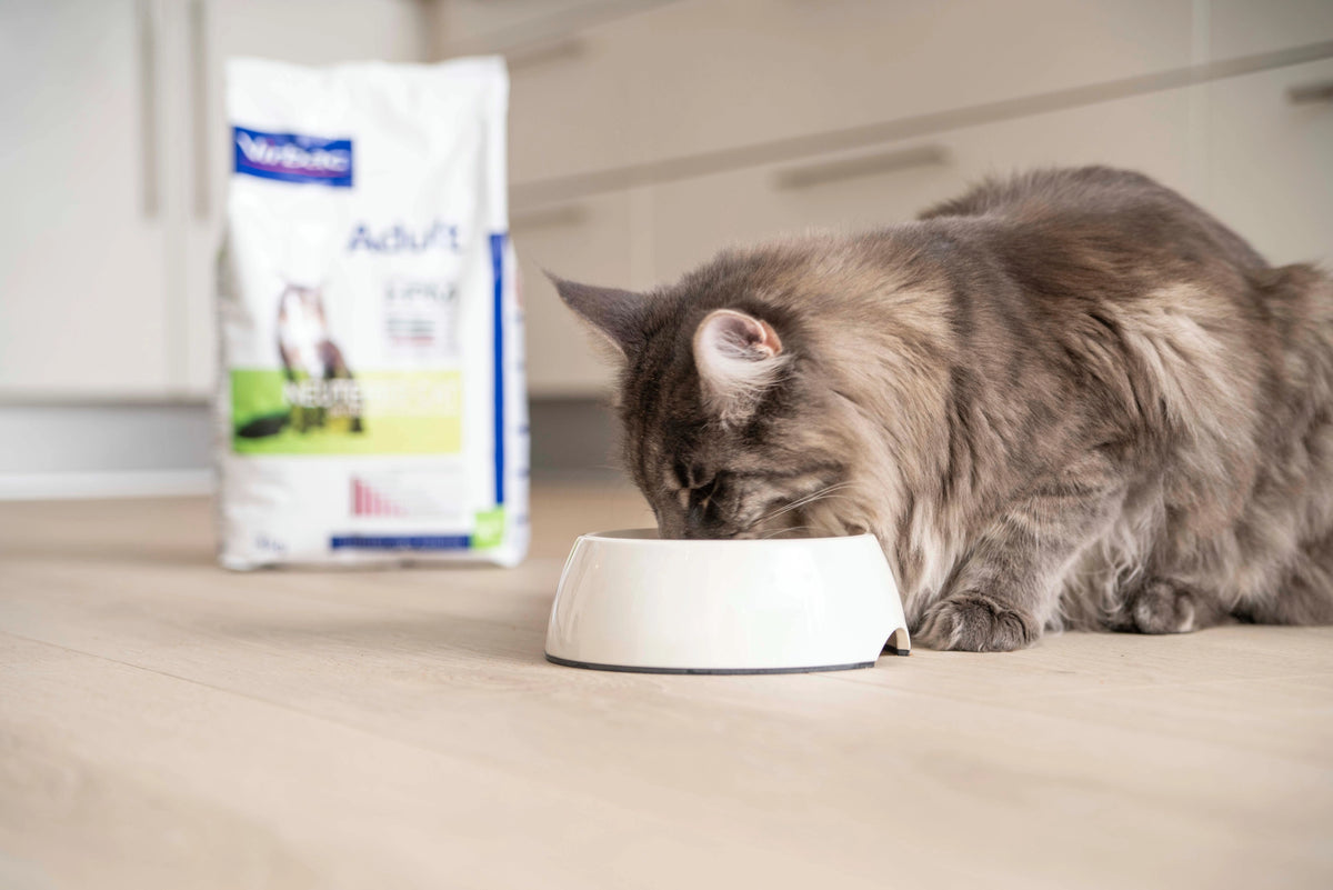 Virbac Adult Neutered 1.5 Kg Petfast.shop Virbac Cat Dry Food Food petfast.shop EgyptDefault Title 1725.00
