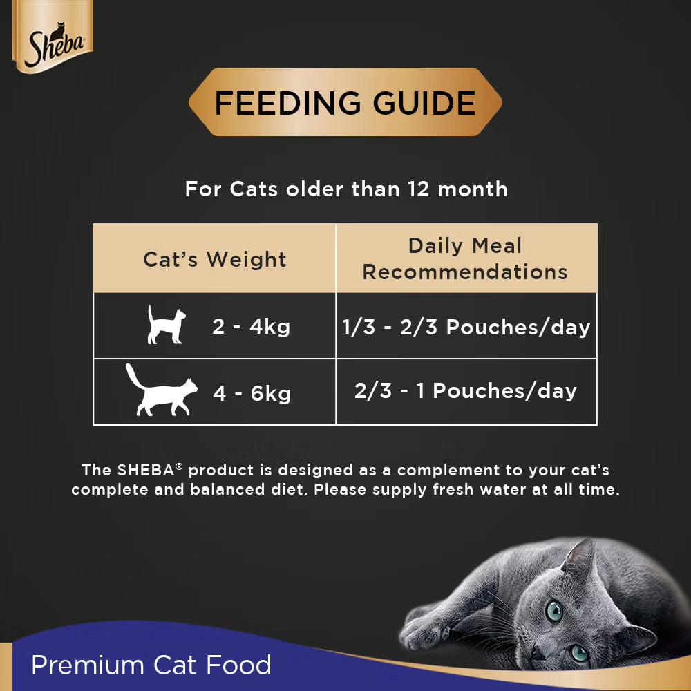 Feeding guide for cats older than 12 months with Sheba logo and cat illustration.
