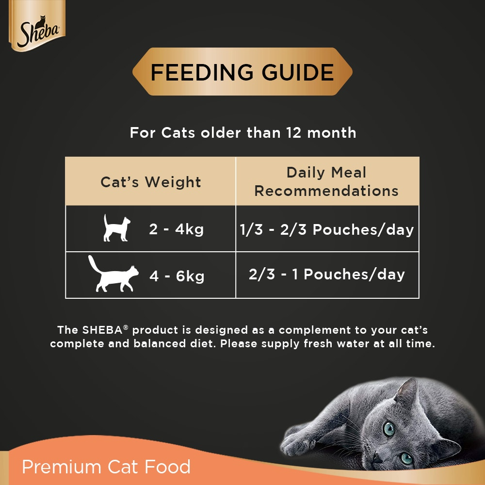 Feeding guide for cats older than 12 months with Sheba logo and cat illustration.
