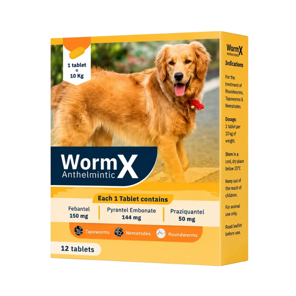 WormX Anthelmintic for Dogs 6 Tablets