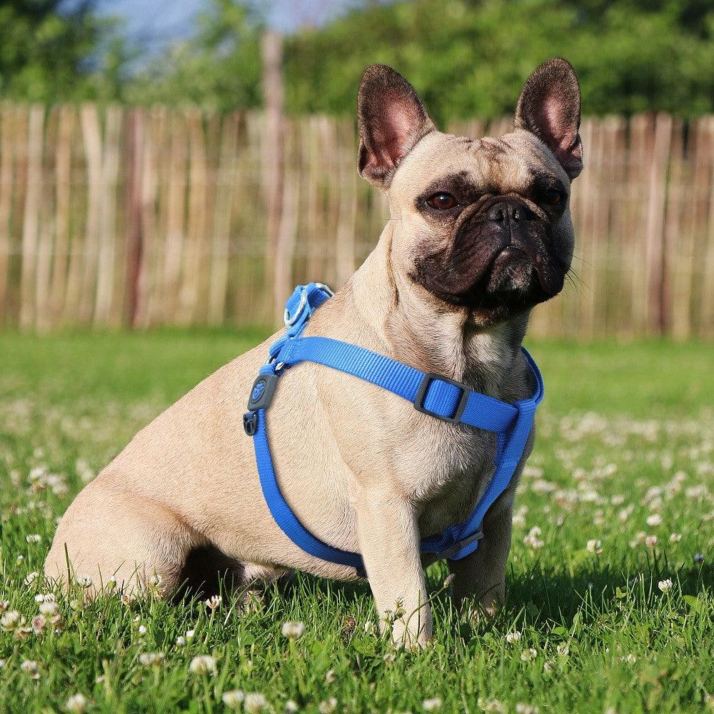 DOCO® Signature Step-In Dog Harness.