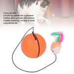 Interactive Cat Ball Toys Automatic with Mouse