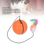 Cat ball toy with feather stick and text describing product features