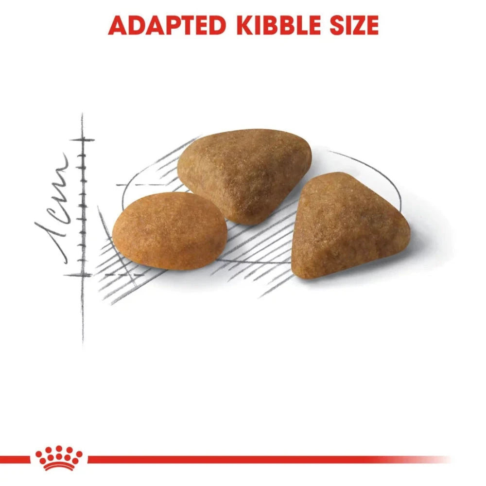Royal Canin Savour Exigent All Breeds Adult Cat Food.