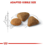 Royal Canin Savour Exigent All Breeds Adult Cat Food.