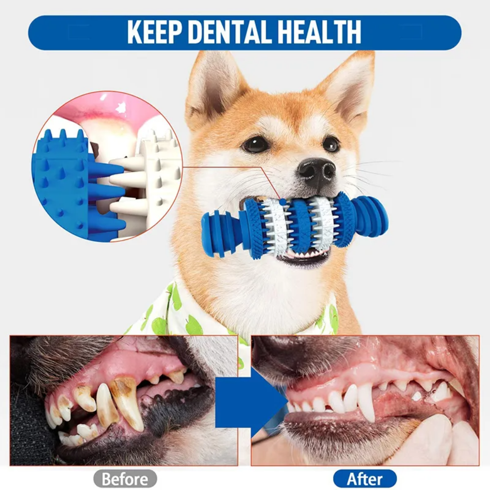 Dog using a blue dental chew toy with before and after images of a dog's teeth.