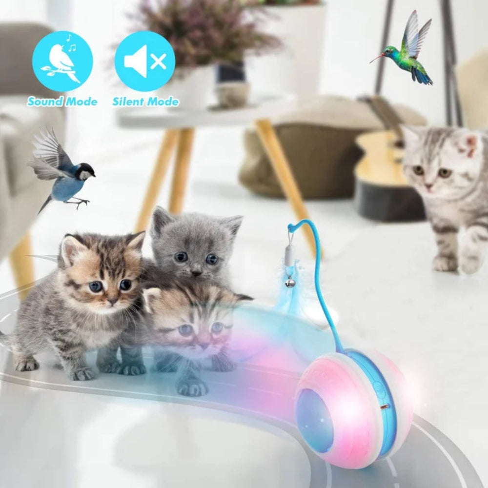Interactive Cat Ball with Bird Sound, LED Light.