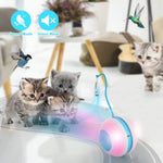 Interactive Cat Ball with Bird Sound, LED Light.