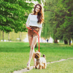 DOCO® Easy-Snap™ Multifunction Nylon Dog Leash.