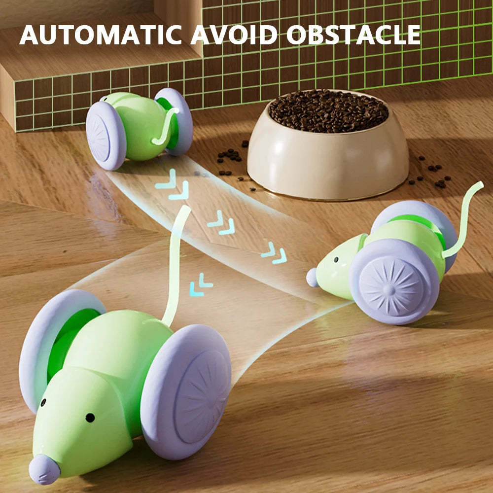 Cat Toy Car & Mouse Smart.