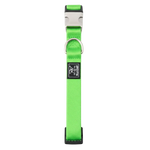 Green dog collar with a brand logo on a white background