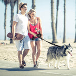 DOCO® 4ft Shock Absorbing BUNGEE Nylon Dog Leash.