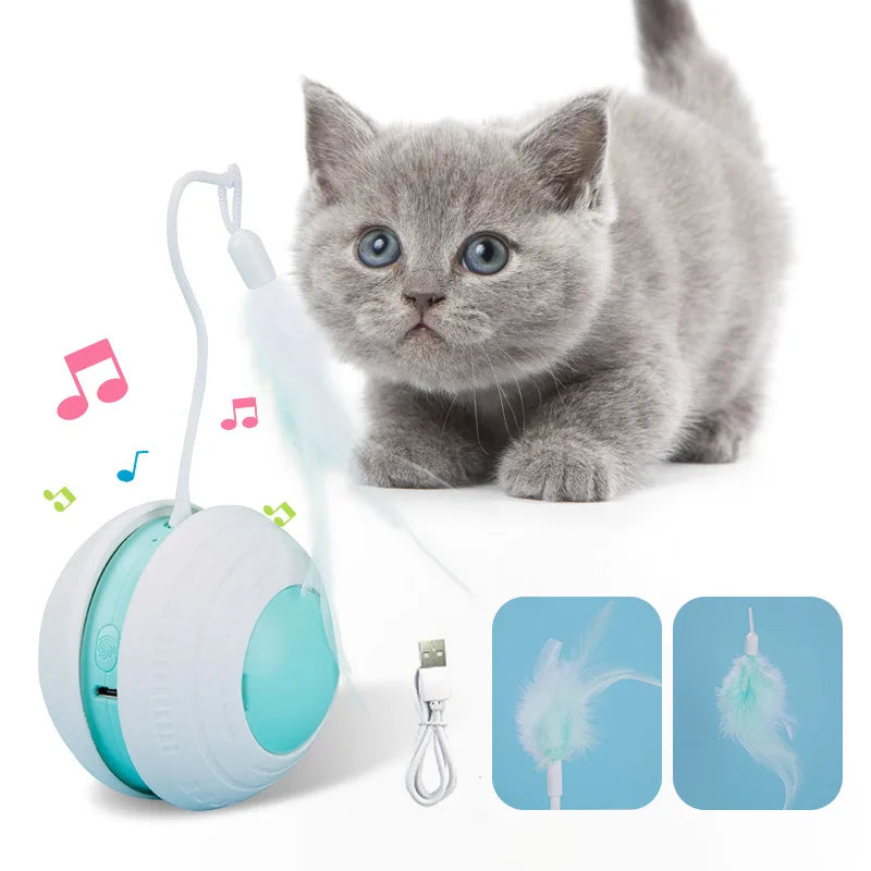 Interactive Cat Ball with Bird Sound, LED Light.