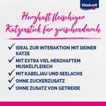Vitakraft catnip stick advertisement with text in German on a white background
