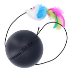 Black ball with a colorful cat toy mouse on a white background