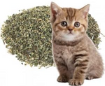 Nunbell Catnip for Cat 150ML