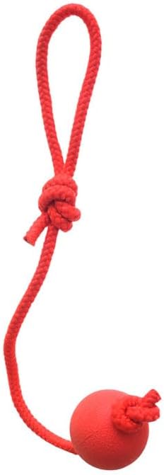 Rubber Ball Rope Dog.