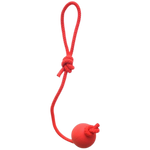 Rubber Ball Rope Dog.