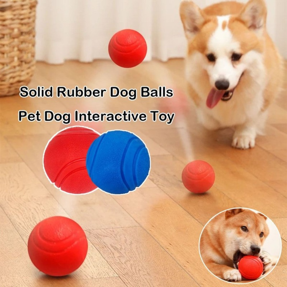 Dog playing with solid rubber balls on a wooden floor, with text indicating it's a pet dog interactive toy.