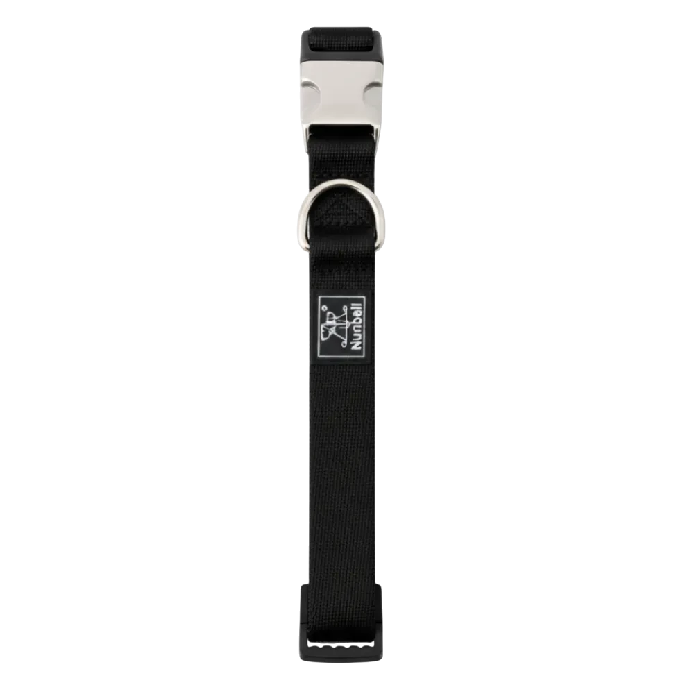 Black dog collar with a metal buckle on a white background